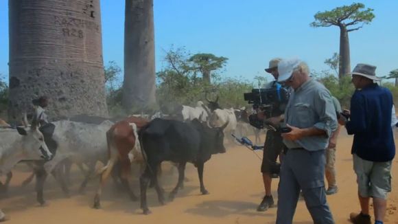 Photo du film L'île des lémuriens: Madagascar