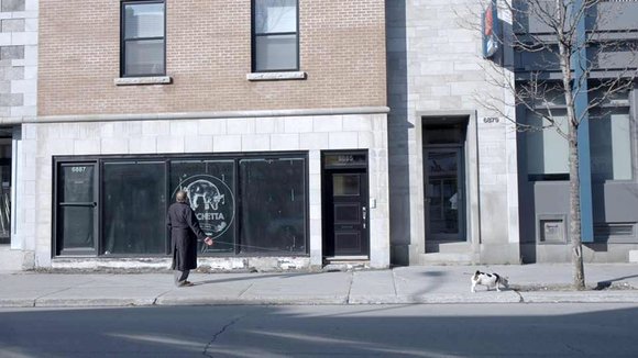 Photo du film Mon ami Dino