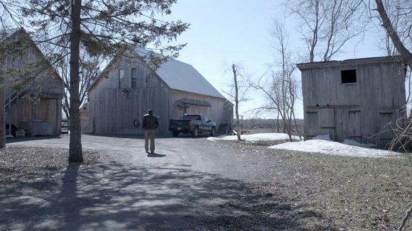 Photo du film Mon ami Dino