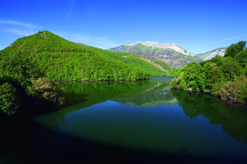 Photo du film 100 Days of Solitude [2018]