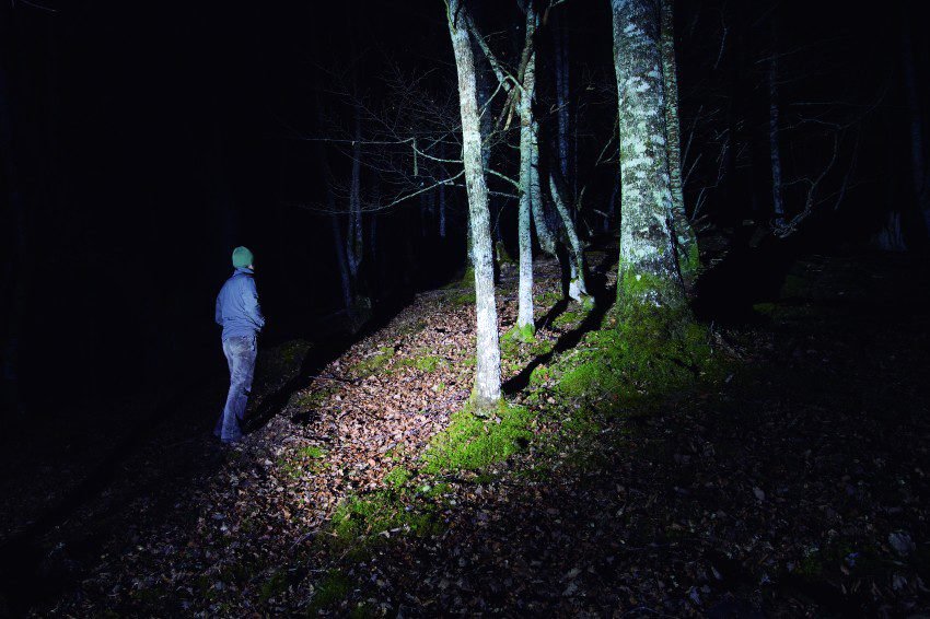 Photo du film 100 Days of Solitude [2018]