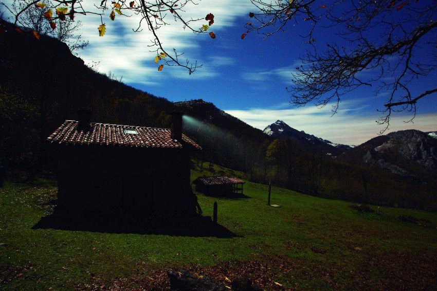 Photo du film 100 Days of Solitude [2018]