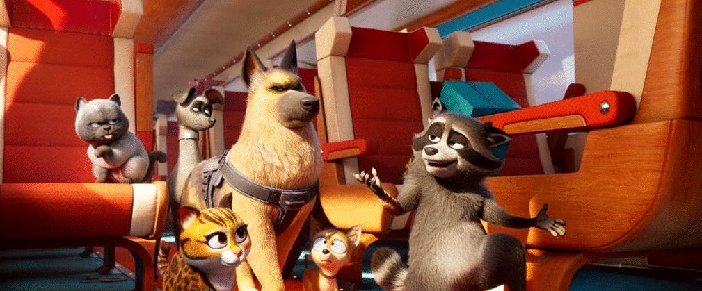 Photo from the movie Pets on a Train