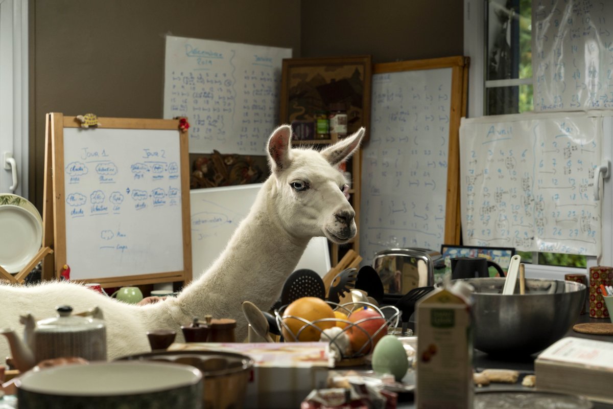 Photo from the movie Family Swap [2021]