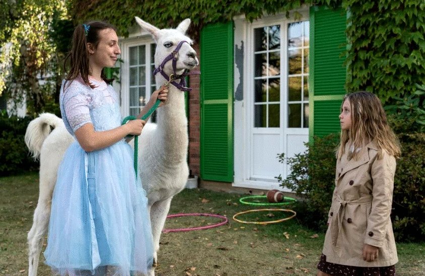 Photo from the movie Family Swap [2021]