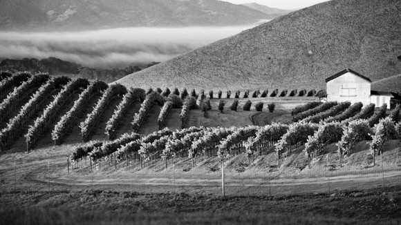 Photo from the movie Food Chains [2014]