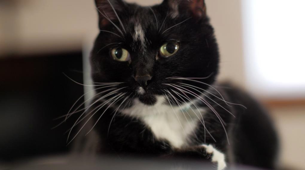 Photo from the movie Heavens to Betsy [2017]