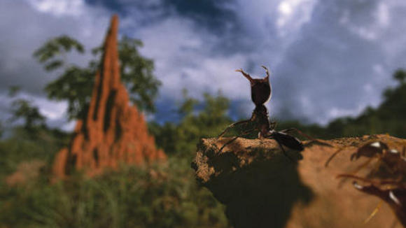 Photo du film La Cité interdite [2006]