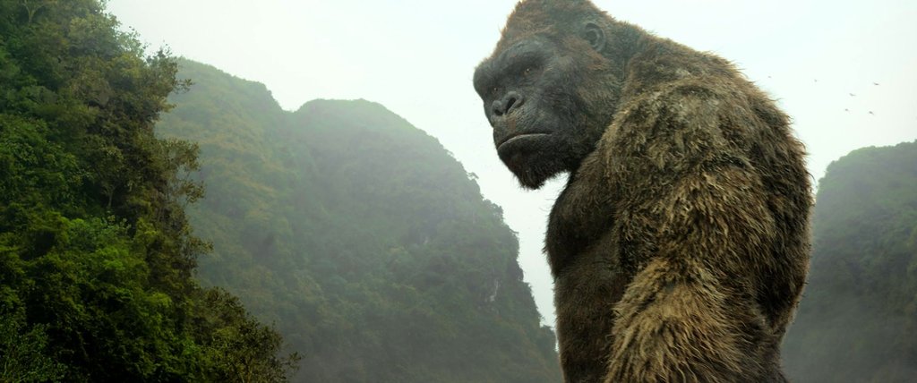 Photo du film Kong: Skull Island v.f.
