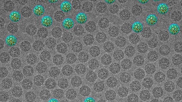 Photo du film Les mystères du monde invisible