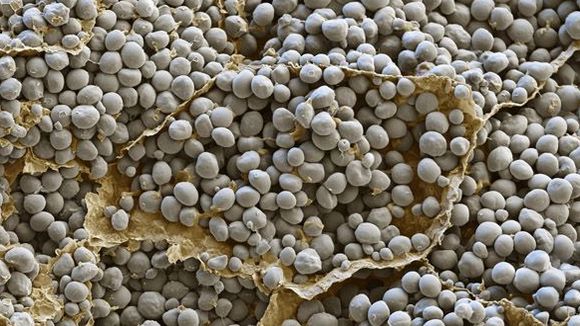 Photo du film Les mystères du monde invisible