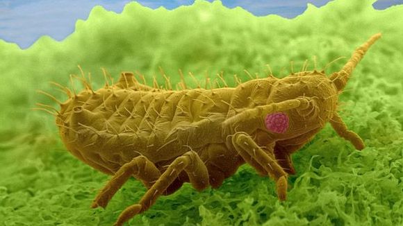 Photo du film Les mystères du monde invisible