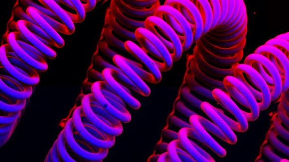 Photo du film Les mystères du monde invisible