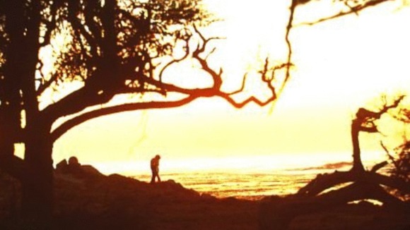 Photo du film Play Misty for Me