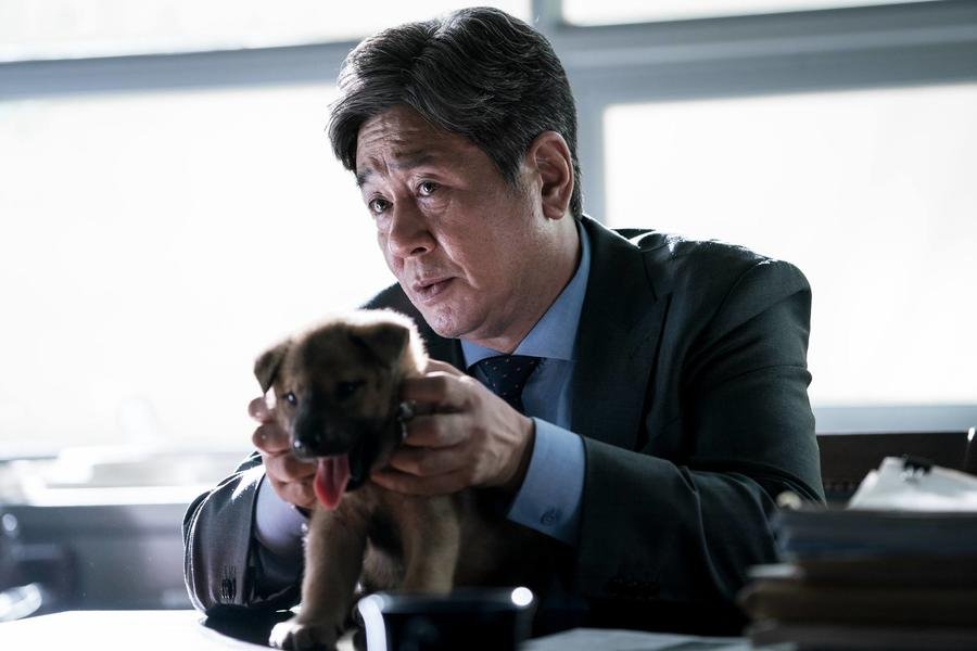 Photo du film Special Citizen