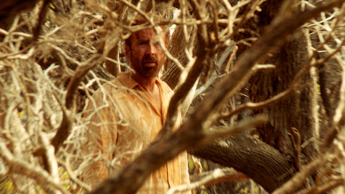 Photo du film The Surfer [2024]