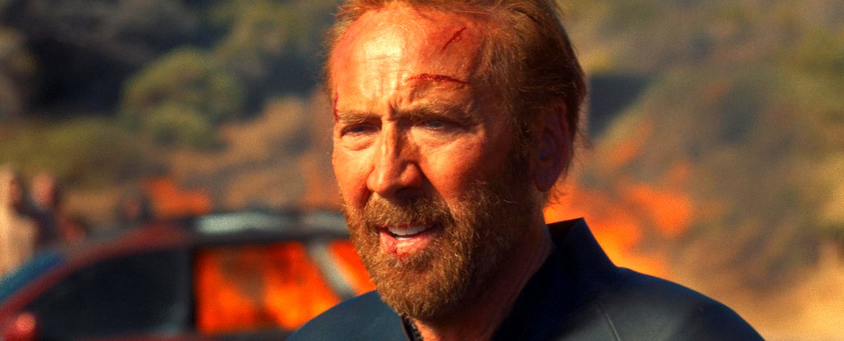 Photo du film The Surfer [2024]