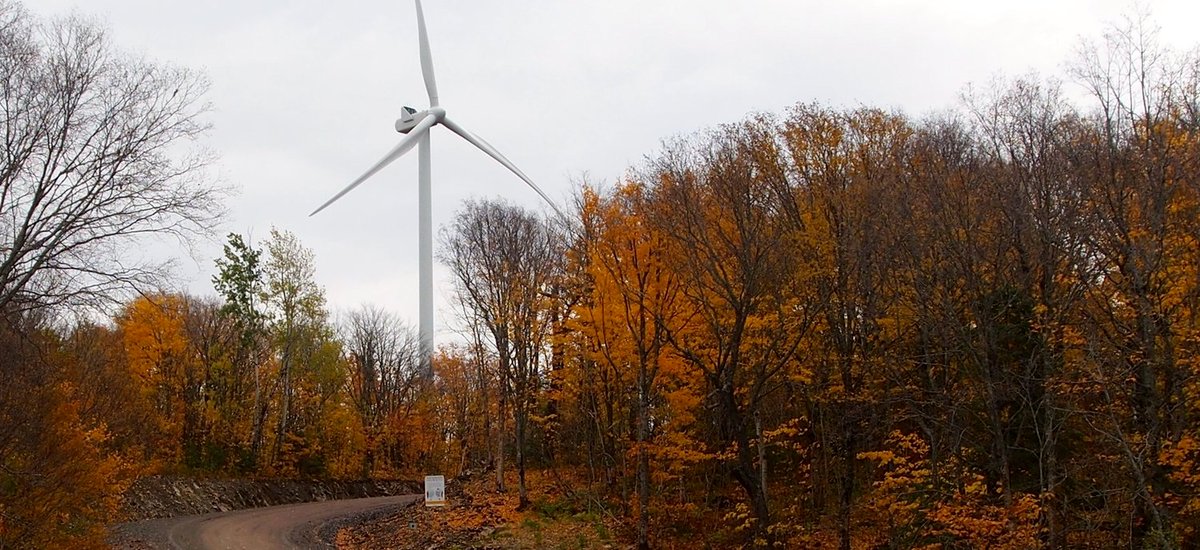 Photo from the movie Boisbouscache [2022]