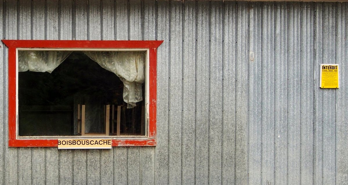 Photo from the movie Boisbouscache [2022]