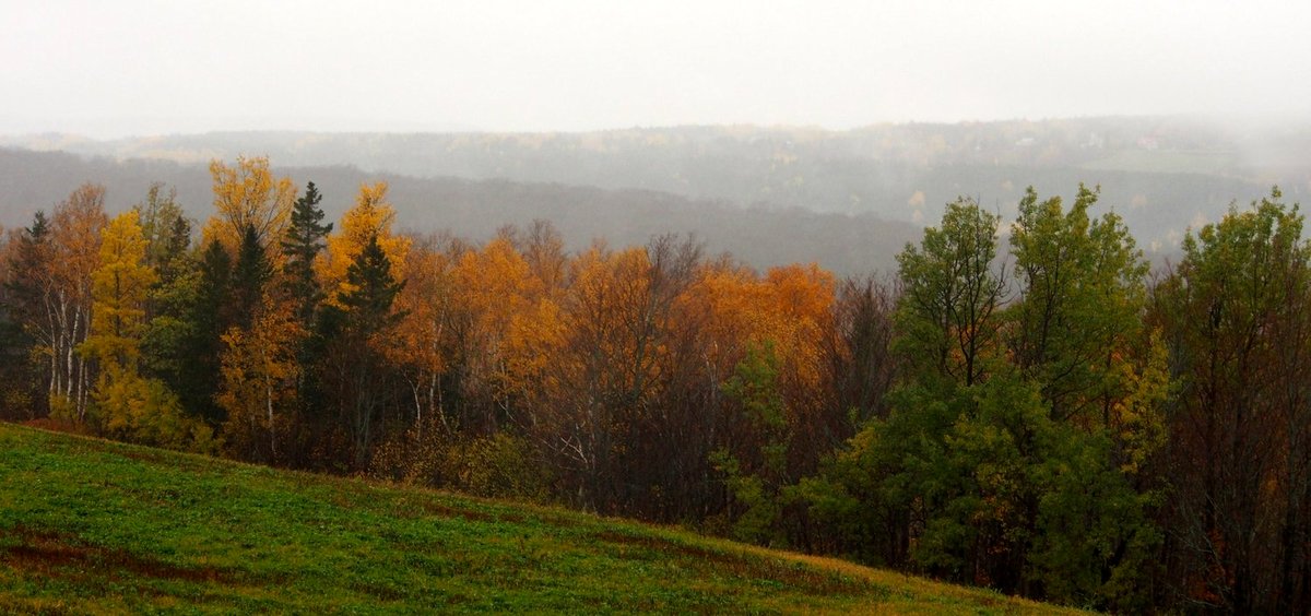 Photo from the movie Boisbouscache [2022]