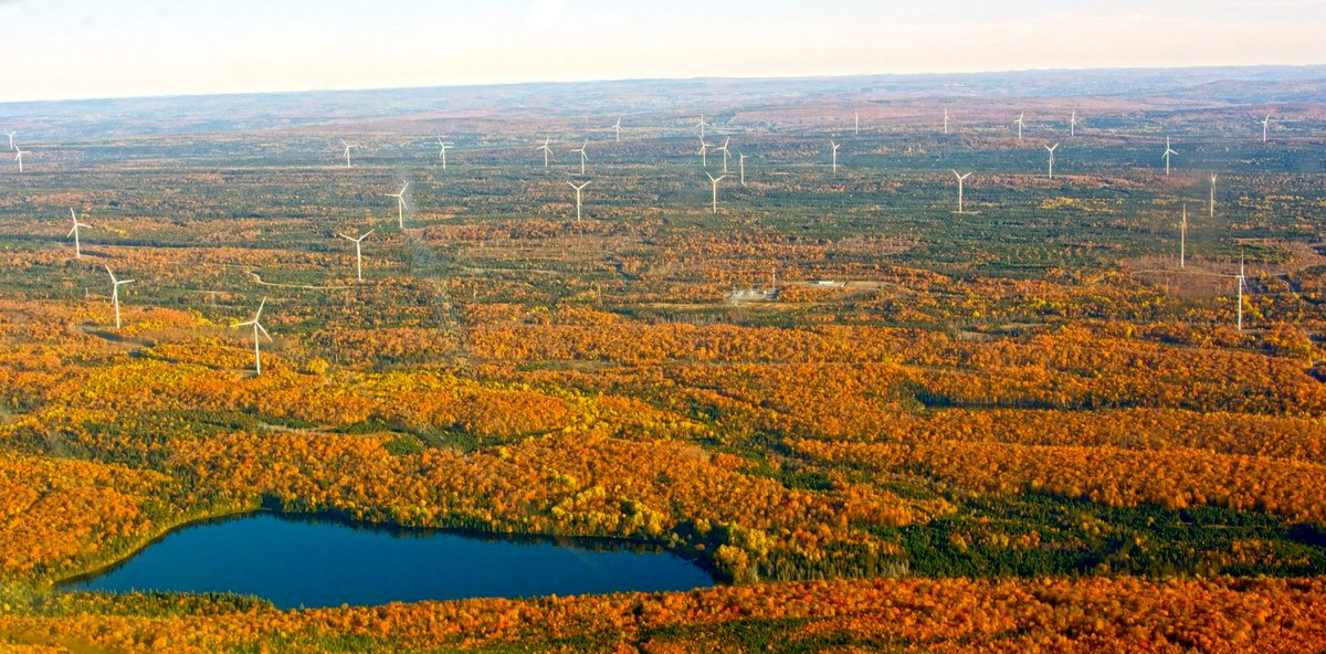 Photo from the movie Boisbouscache [2022]