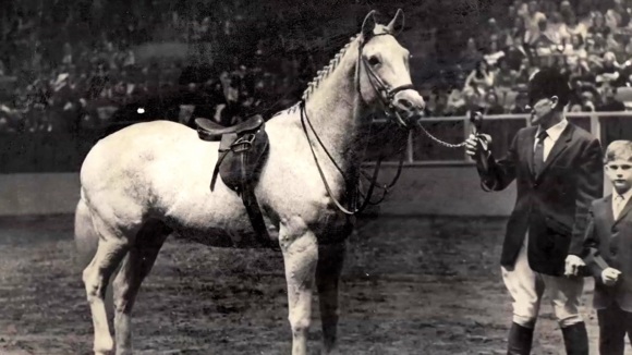 Photo from the movie Harry & Snowman [2015]