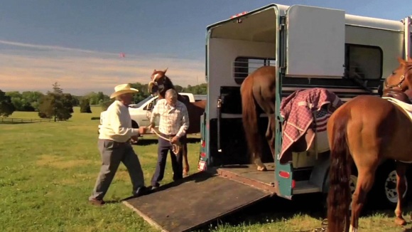 Photo from the movie Harry & Snowman [2015]