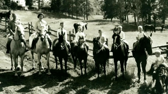 Photo from the movie Harry & Snowman [2015]