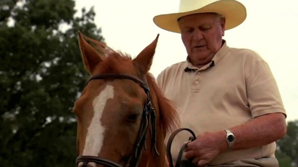 Photo from the movie Harry & Snowman [2015]