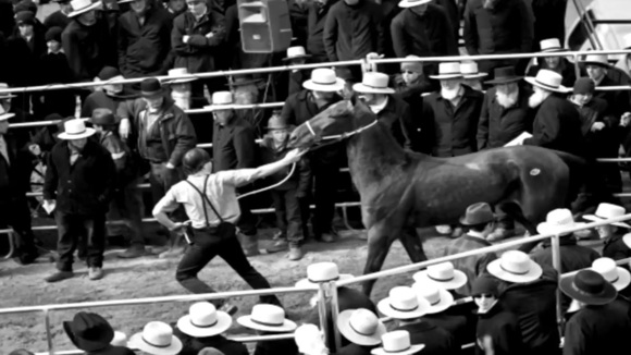 Photo from the movie Harry & Snowman [2015]