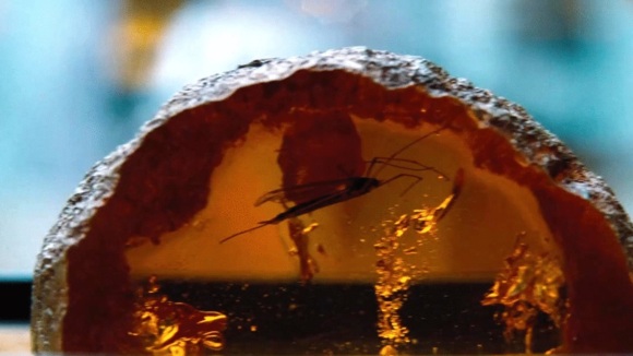 Photo from the movie Jurassic World