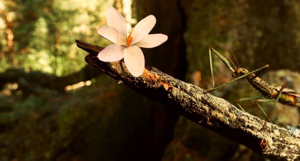 Photo from the movie Pan's Labyrinth