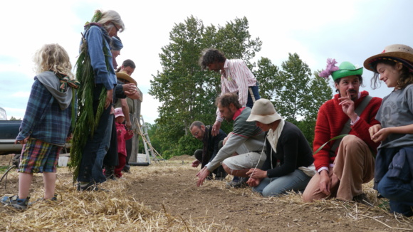 Photo du film The Sower [2013]