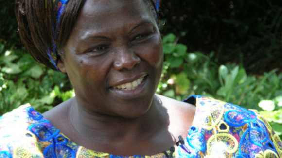 Photo from the movie Taking Root: The Vision of Wangari Maathai [2008]