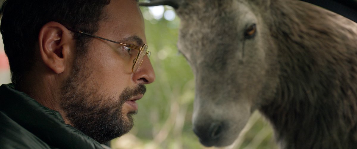 Photo du film Open Season