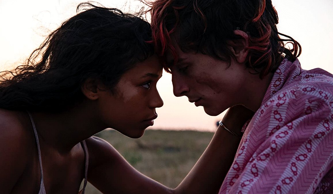 Photo from the movie Bones and All v.f.