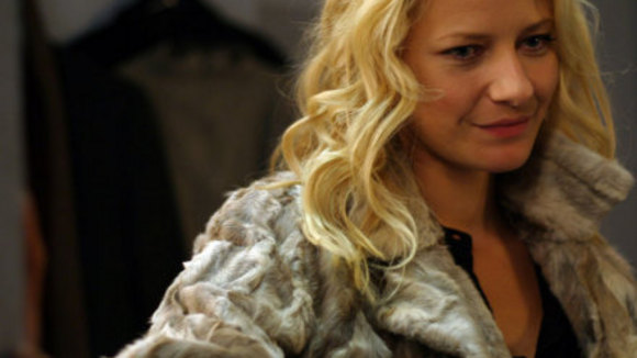 Photo du film The Collector [2005]