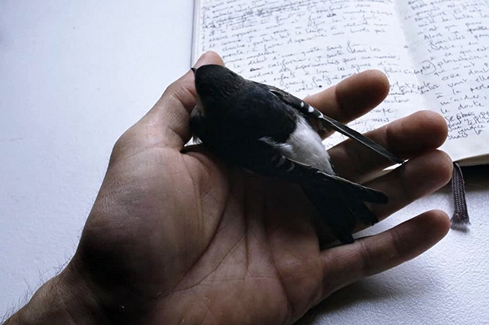 Photo du film Once You Know [2020]