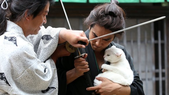 Samurai Cat (2014) by Takeshi Watanabe, Yoshitaka Yamaguchi