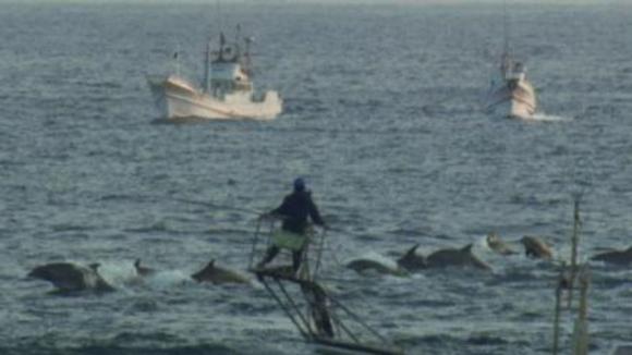 Photo du film The Cove