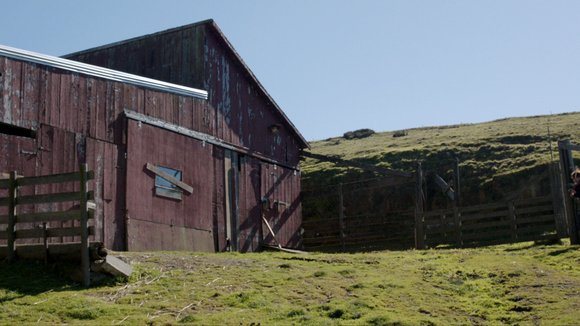 Photo from the movie The Ghost and the Whale