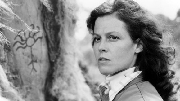 Photo du film Gorillas in the Mist