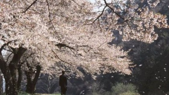 Photo from the movie The Taste of Tea