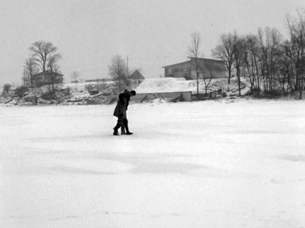 Photo du film Cat in the Sack