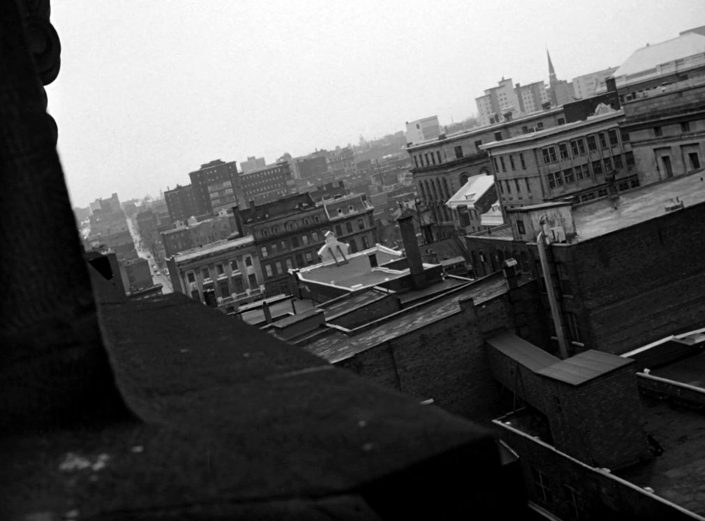 Photo du film Cat in the Sack