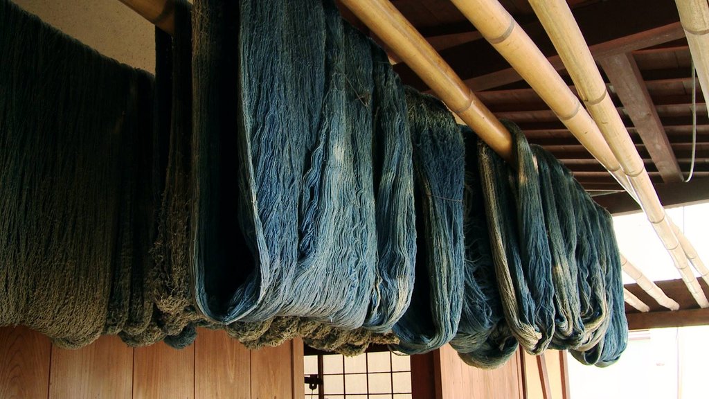 Photo from the movie Blue Gold: American Jeans