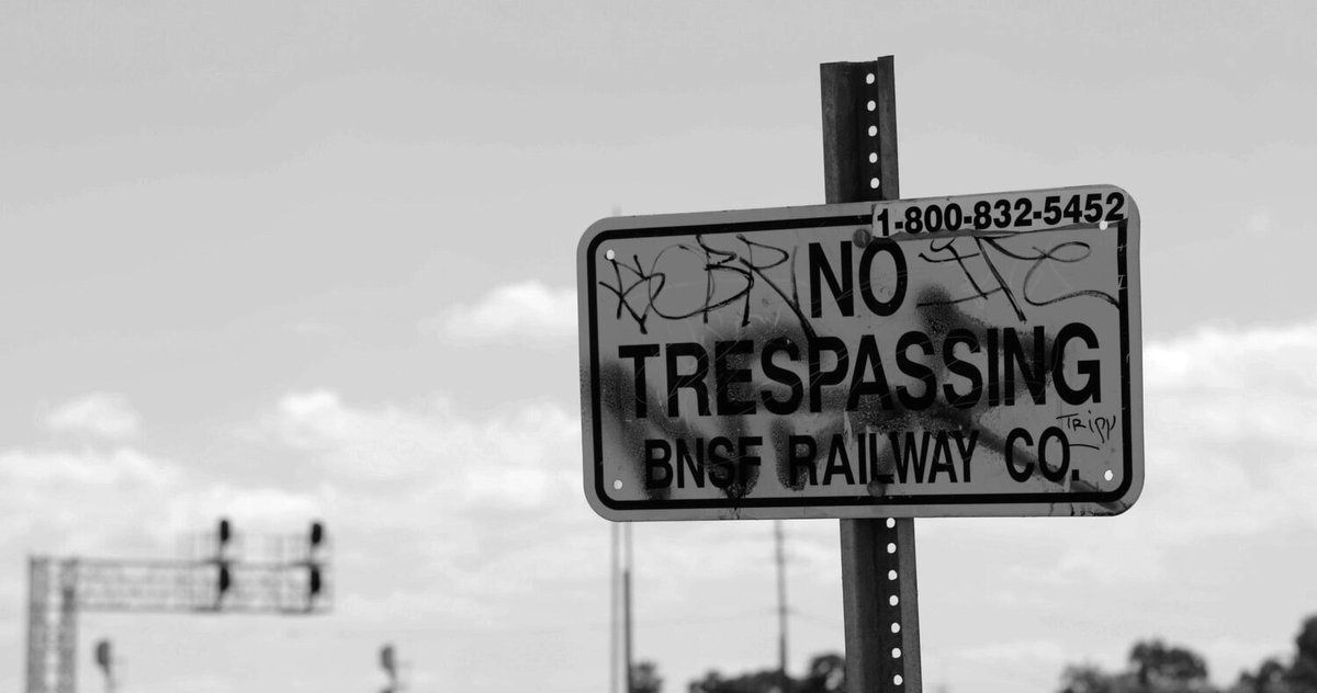 Photo du film Ferroequinology [2021]