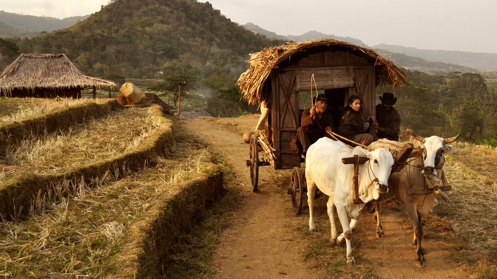 Photo du film Buffalo Boys [2018]