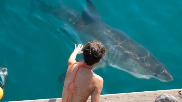 Photo du film Marée d'enfer