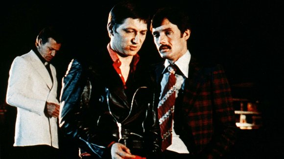 Photo du film Fox and His Friends [1975]